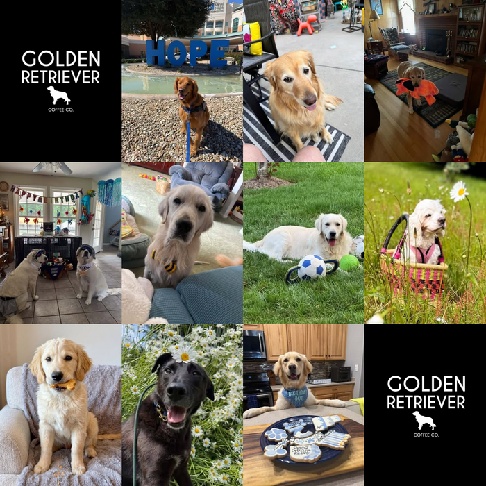Meet Our Dogs of the Month — September 2026