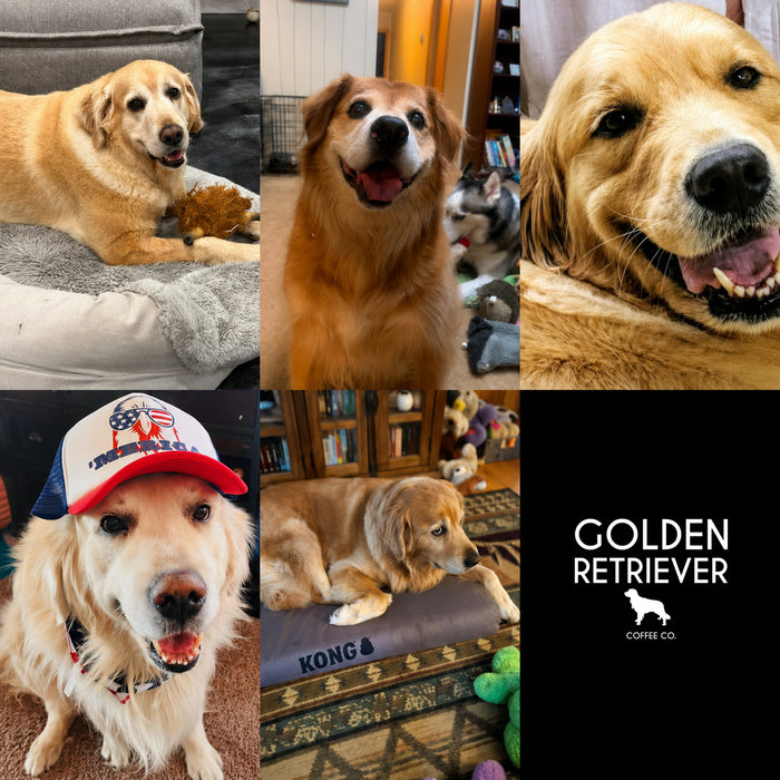 Meet Our Dogs of the Month — August 2026