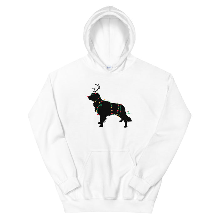 "Rudolph the Red Nosed Golden" Hoodie